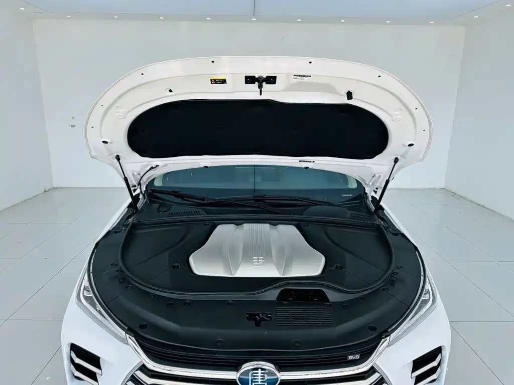 BYD Tang New Energy — миниатюра 27