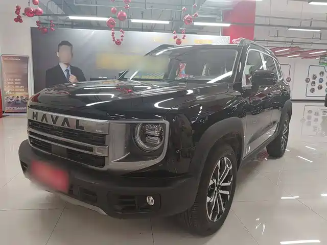 HAVAL BIG DOG