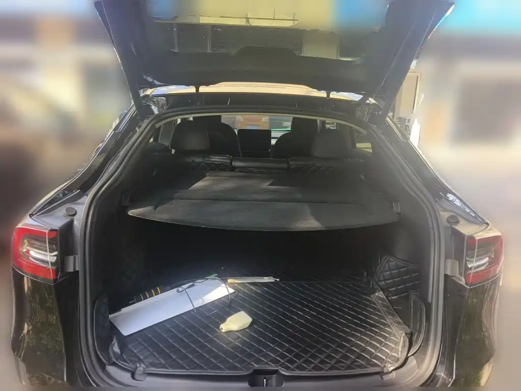 Tesla Model Y — миниатюра 20