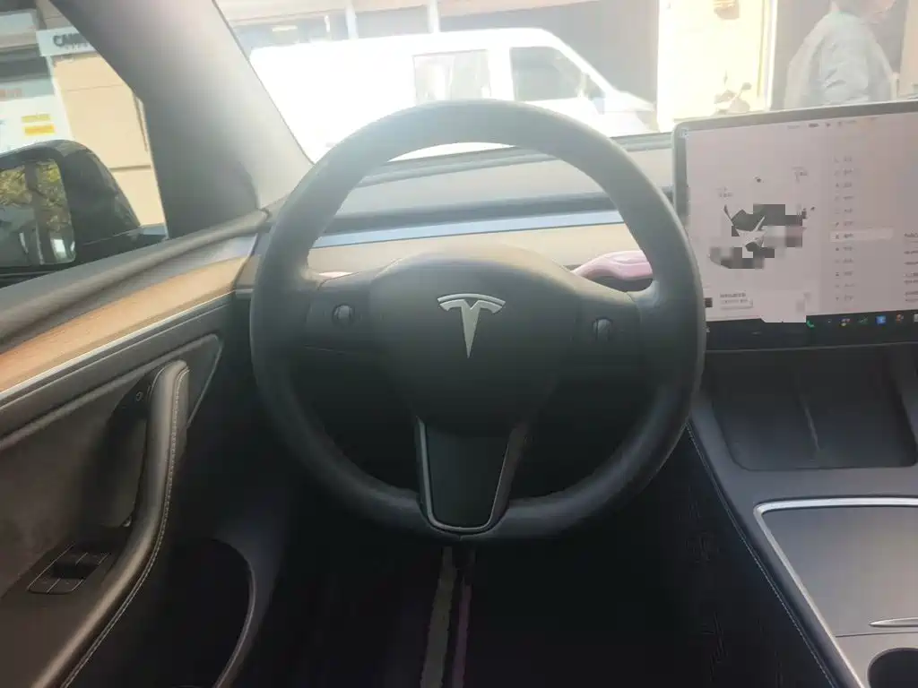 Tesla Model Y — миниатюра 11