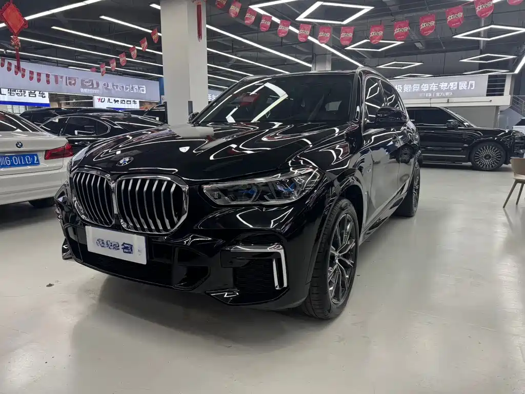 BMW X5 — миниатюра 2