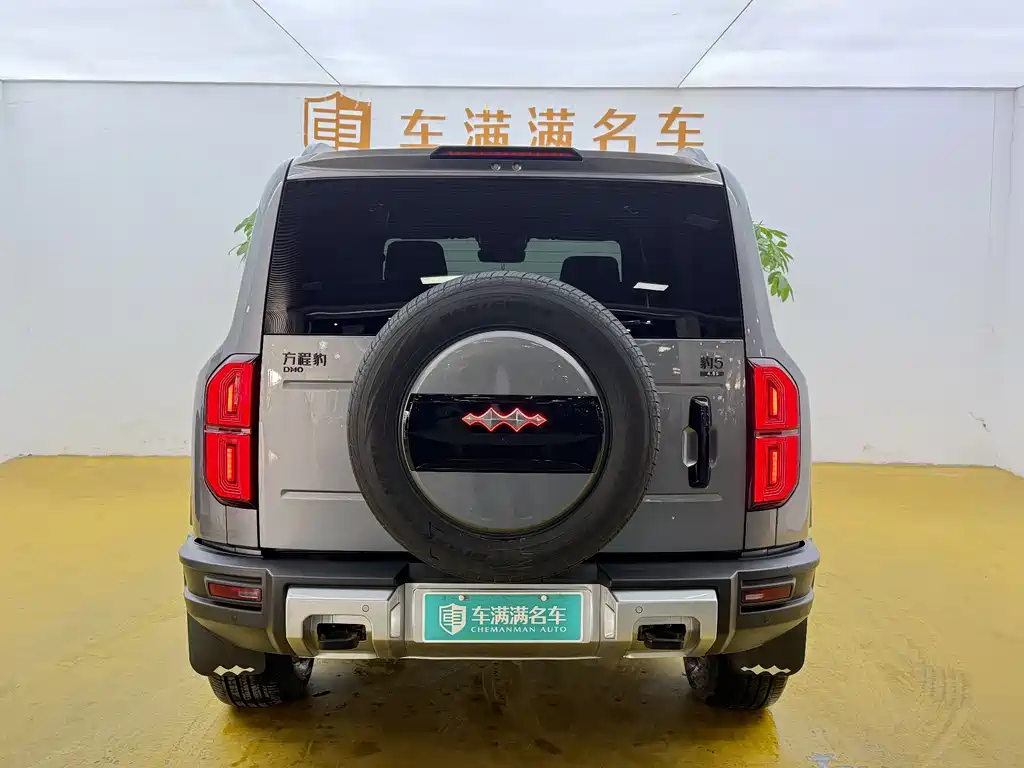 FANG CHENG BAO LEOPARD 5