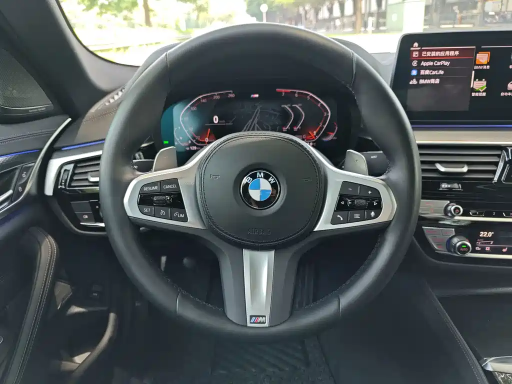 BMW 5 Series (Import) — миниатюра 12