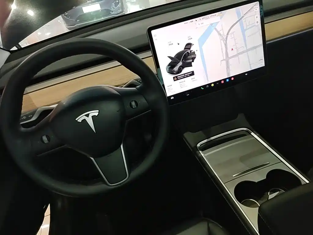 Tesla Model Y — миниатюра 14