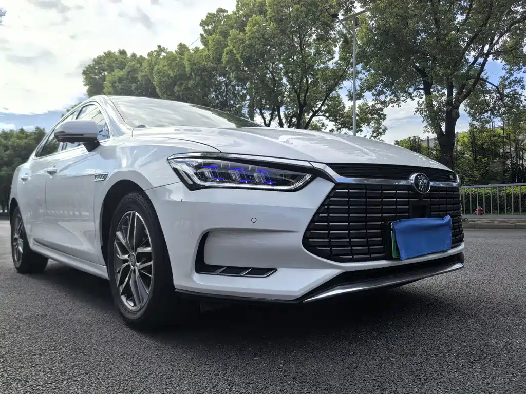 BYD Qin Pro NEV — миниатюра 3