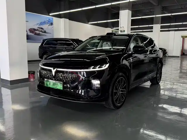VOYAH zhiyin