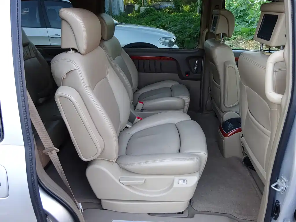 Buick GL8 — миниатюра 10