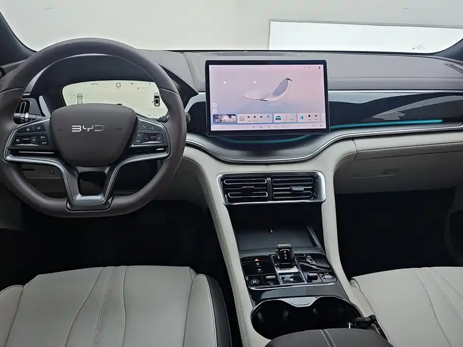 BYD PLUS New Energy — миниатюра 12