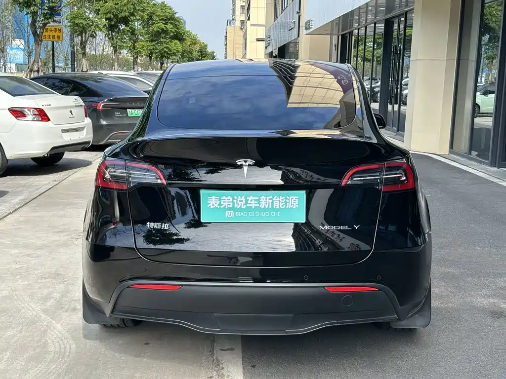 Tesla Model Y — миниатюра 5