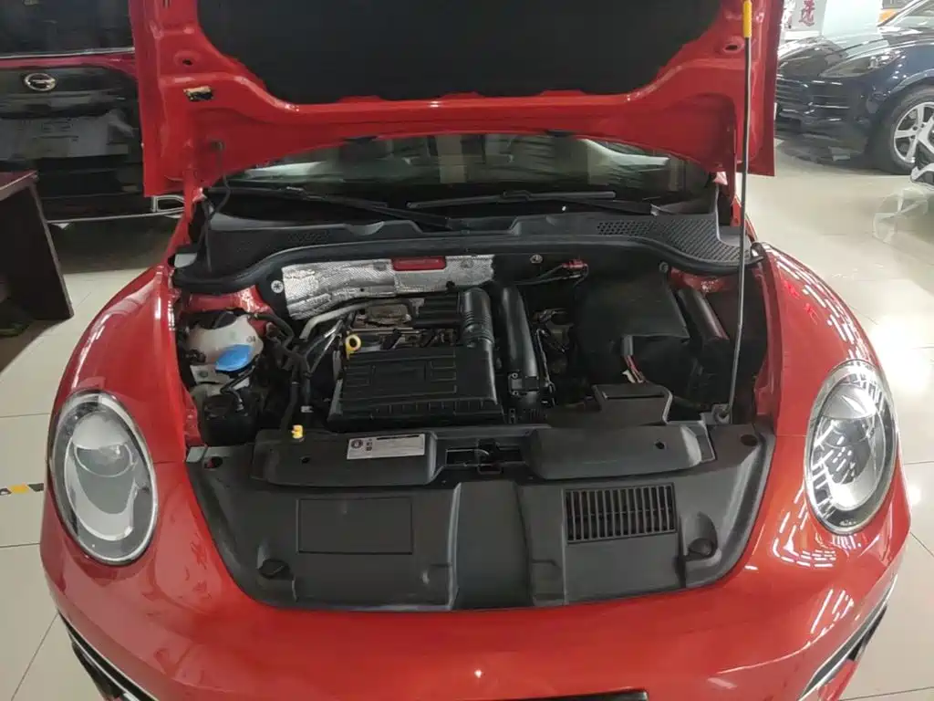 Volkswagen Beetle — миниатюра 20