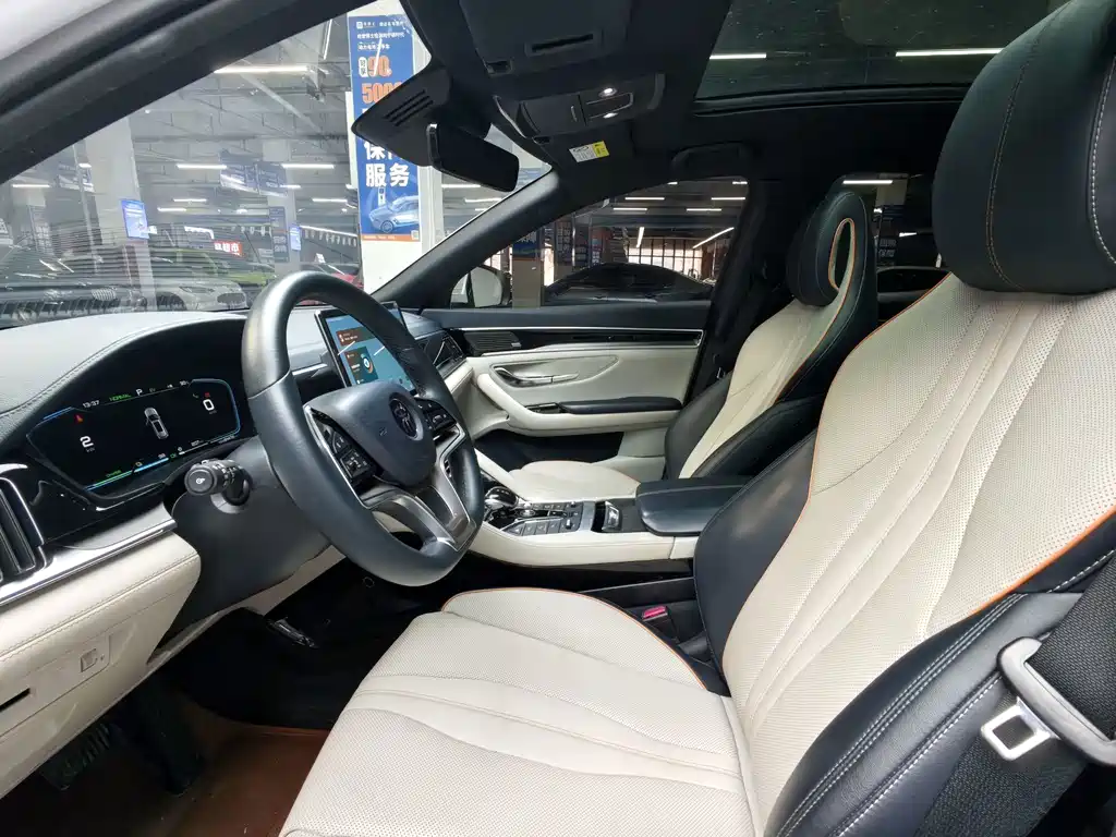 BYD PLUS New Energy — миниатюра 5
