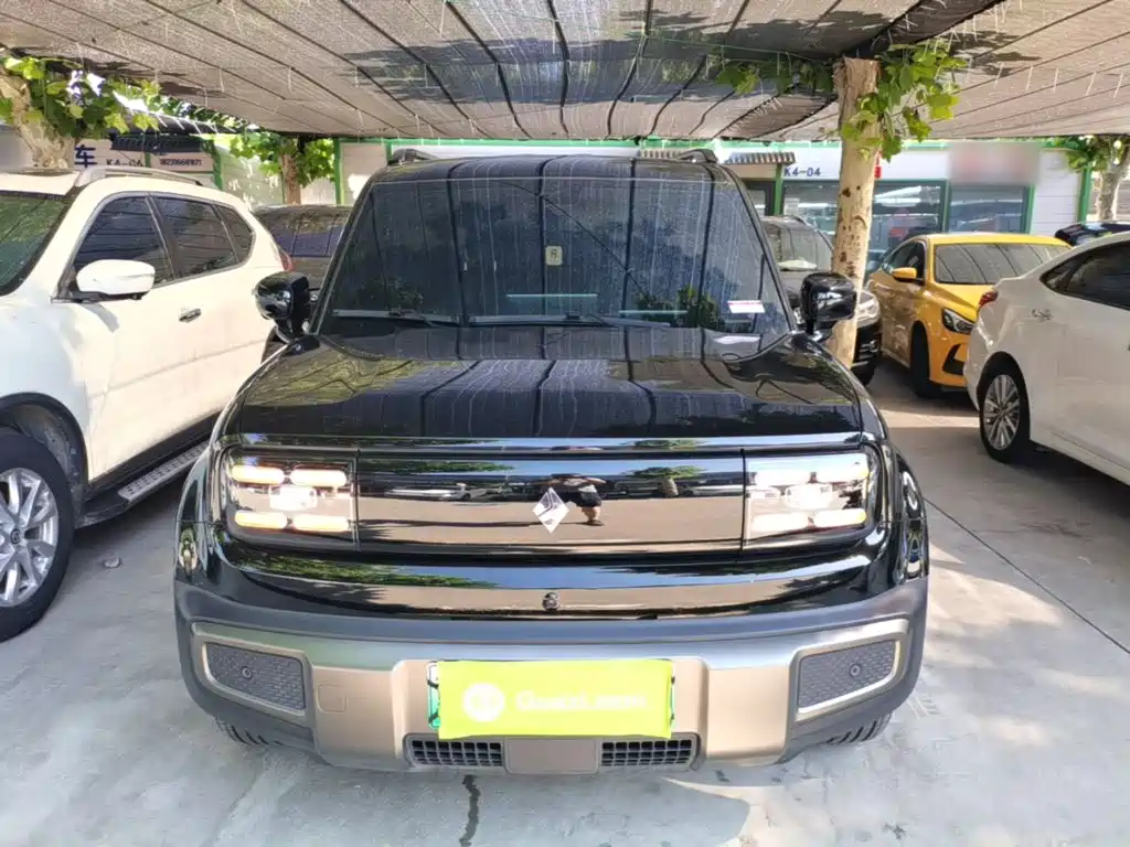 Baojun YepPlus Plus 2026 301km Flagship