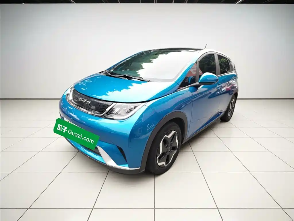 Byd Dolphin 2022