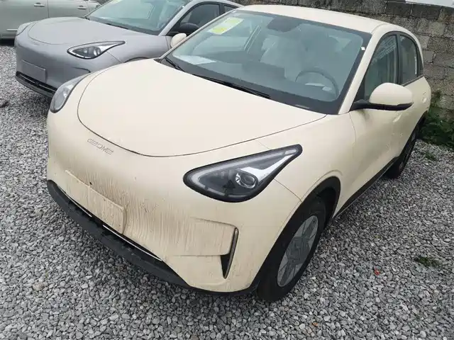 2026 Geely Xingyuan