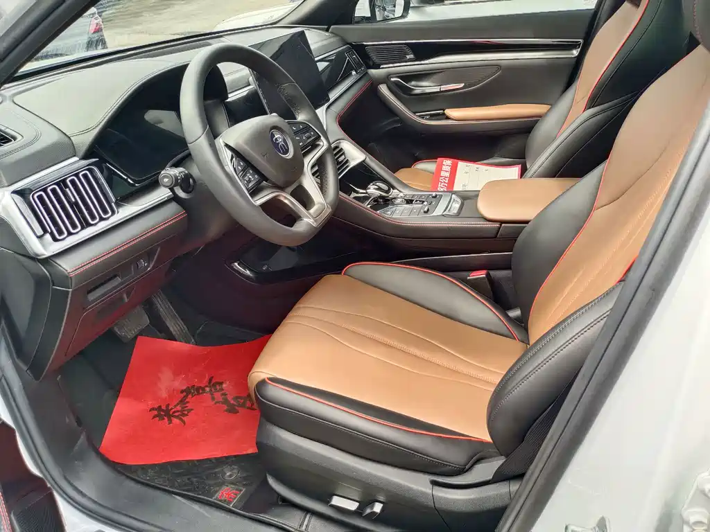 BYD PLUS — миниатюра 4