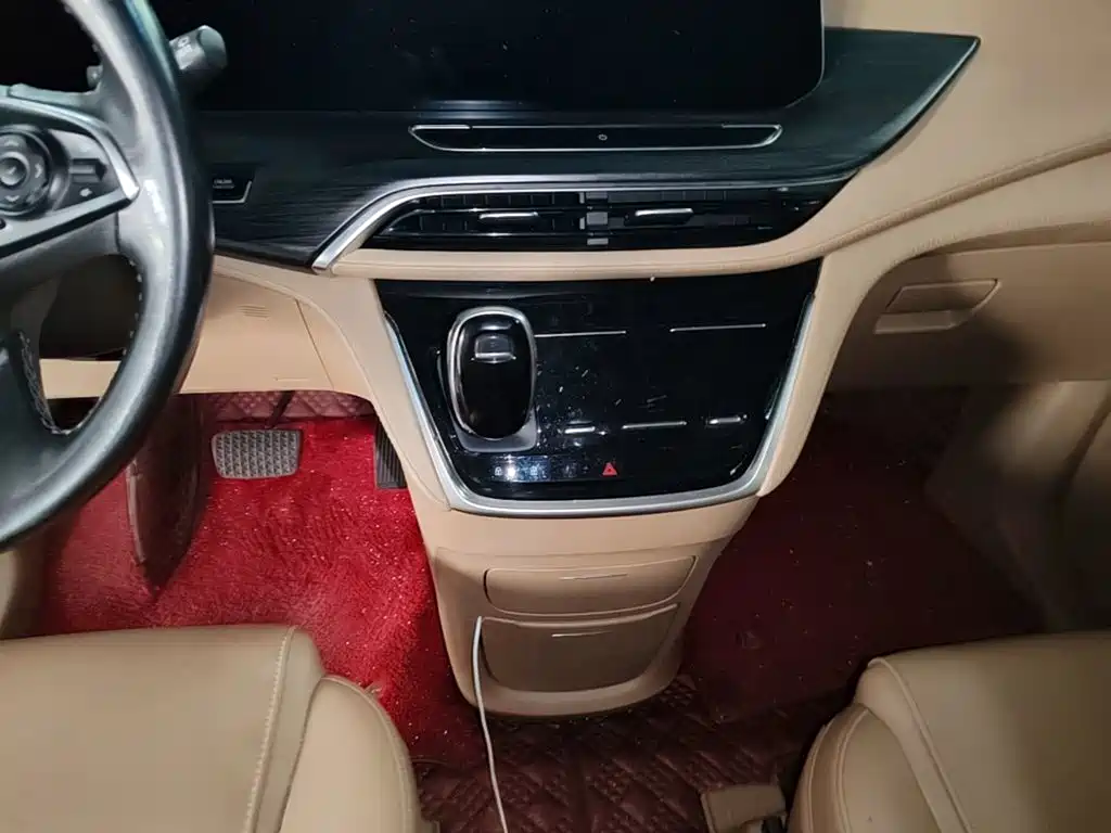 Buick GL8 — миниатюра 14