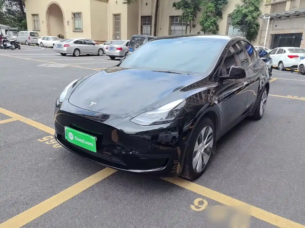 Tesla Model Y — миниатюра 2