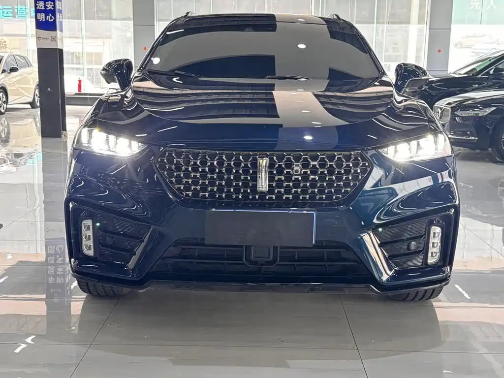 WEI PAI WEI BRAND VV7