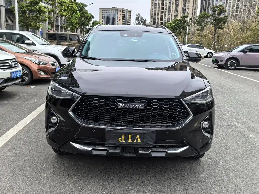 HAVAL F7