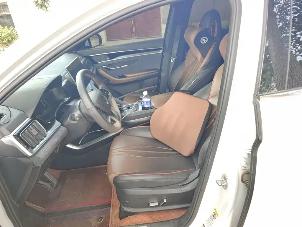 BYD PLUS — миниатюра 11