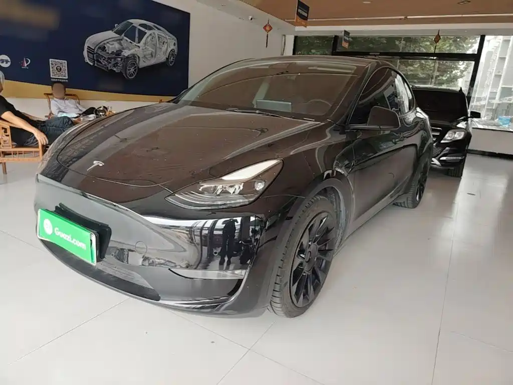 Tesla Model Y — миниатюра 2