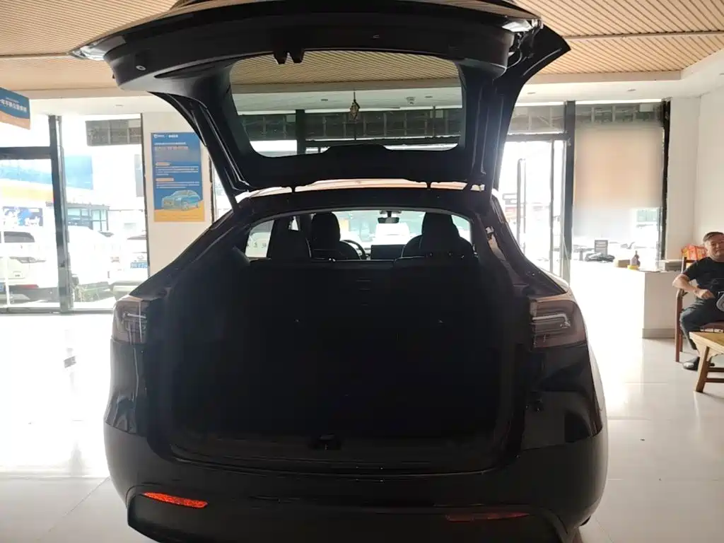 Tesla Model Y — миниатюра 19