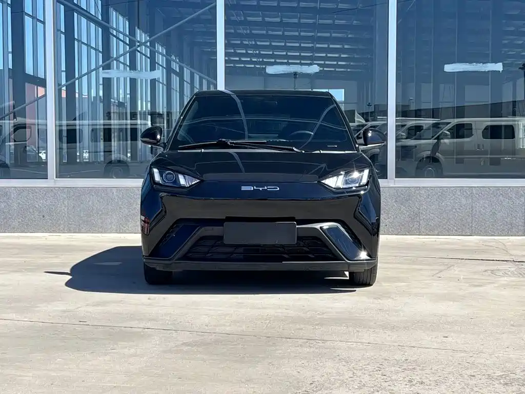 BYD Seagull — миниатюра 2