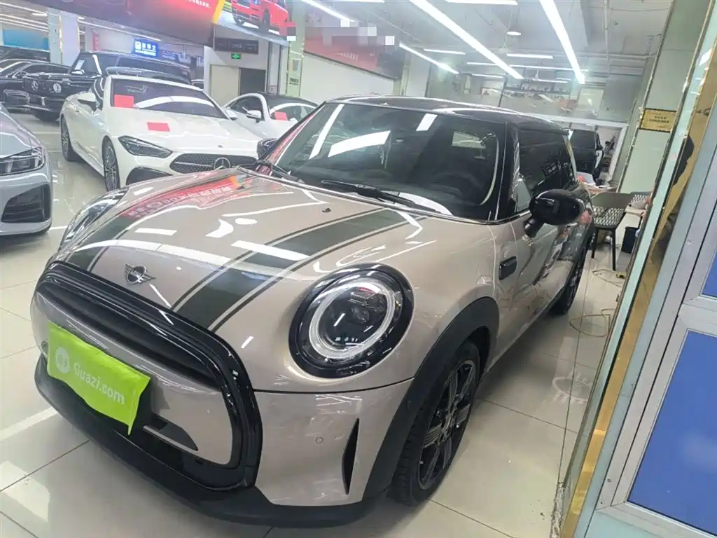 Mini Mini 2024