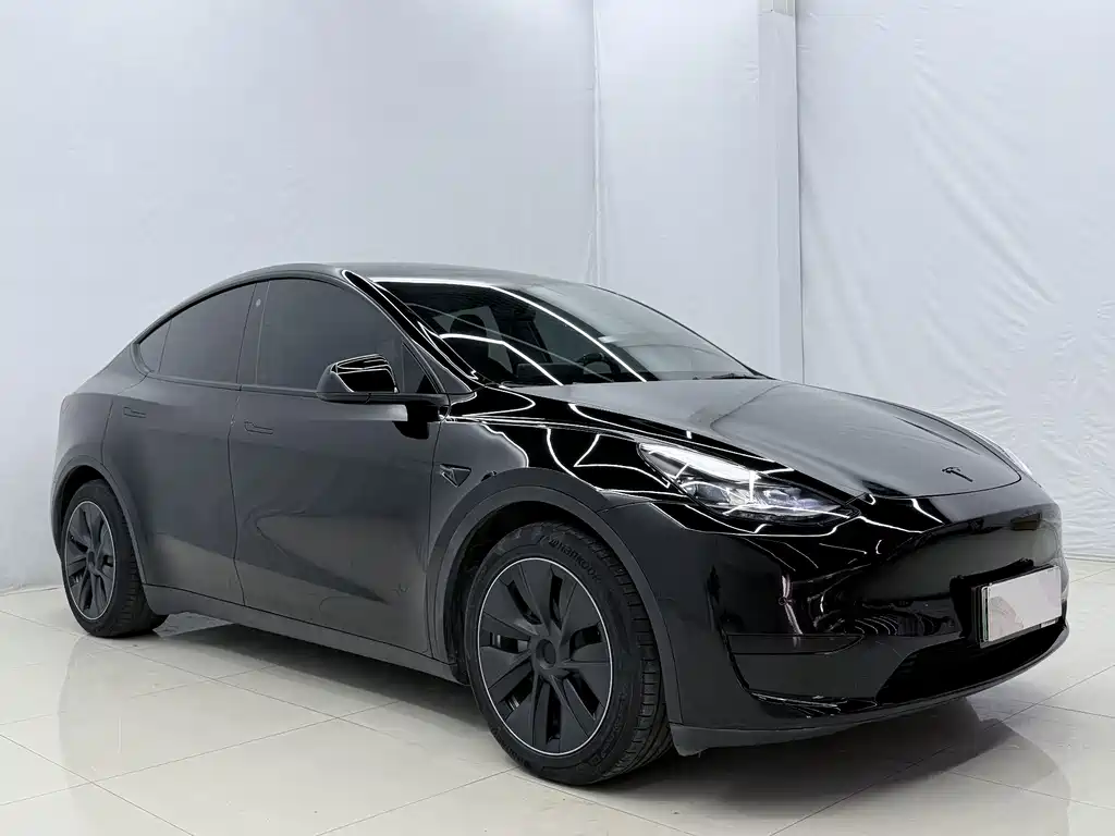 Tesla Model Y — миниатюра 3