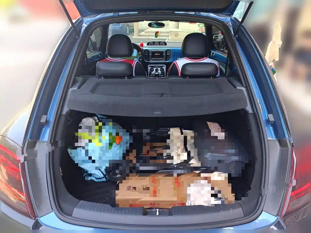 Volkswagen Beetle — миниатюра 10