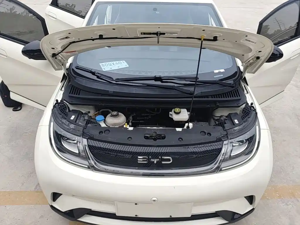 BYD Dolphin — миниатюра 20