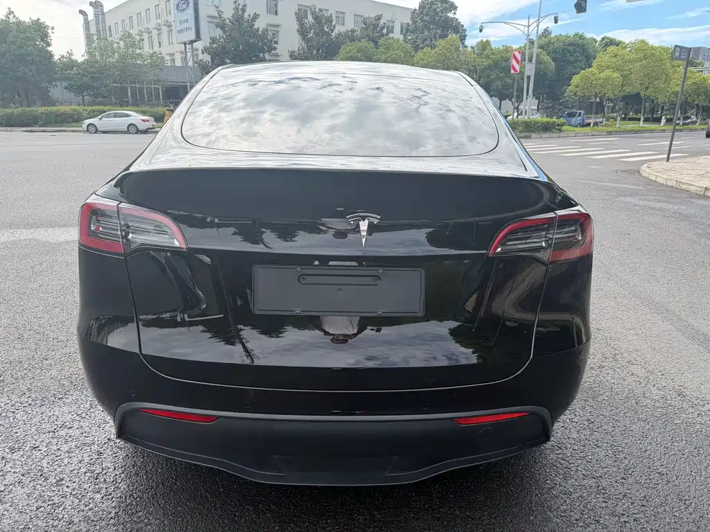 Tesla Model Y — миниатюра 6