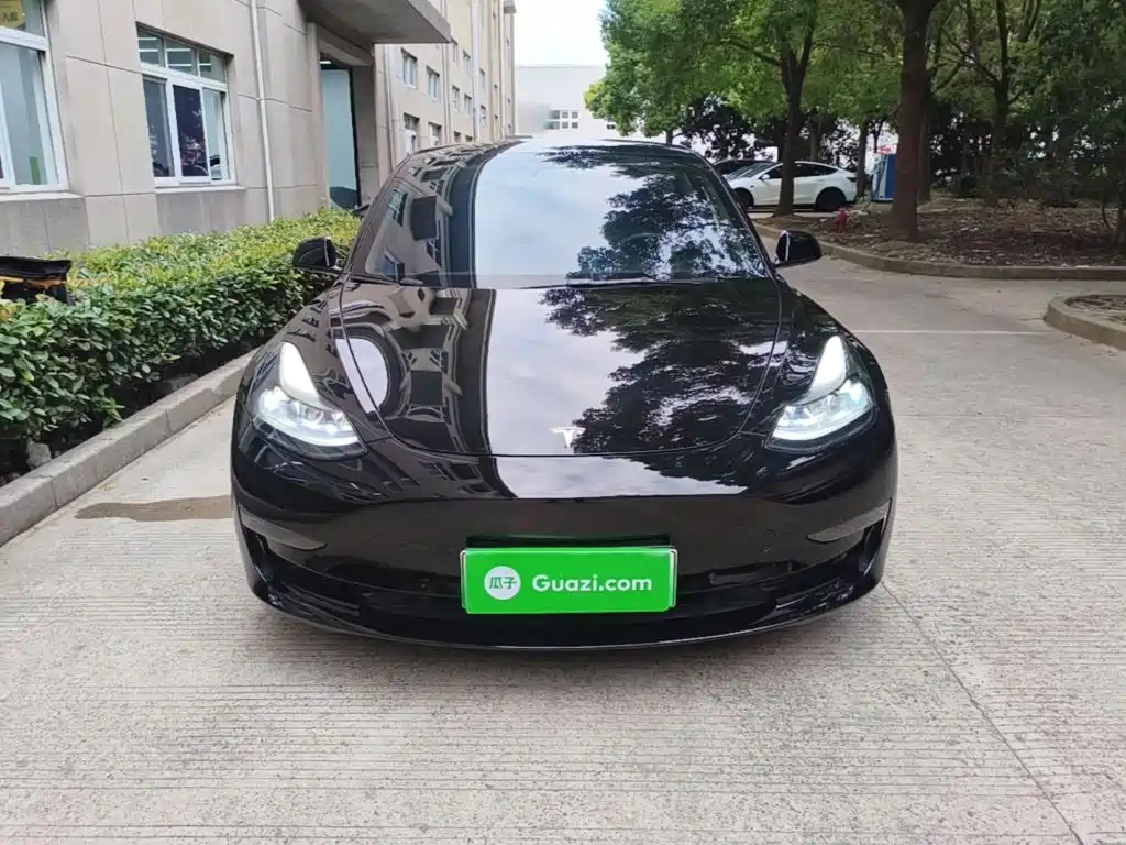 Tesla Model 3 — миниатюра 3