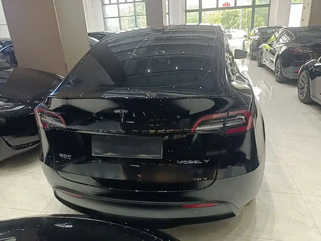 Tesla Model Y — миниатюра 6