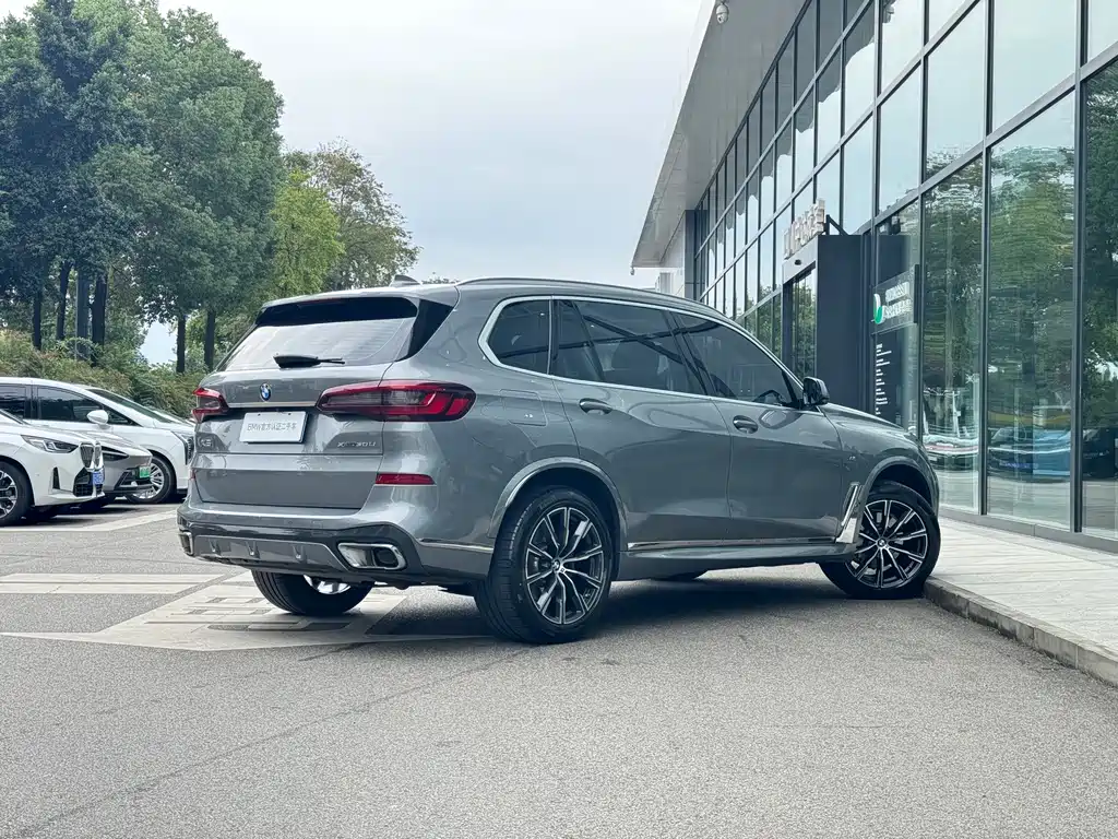 BMW X5 — миниатюра 7