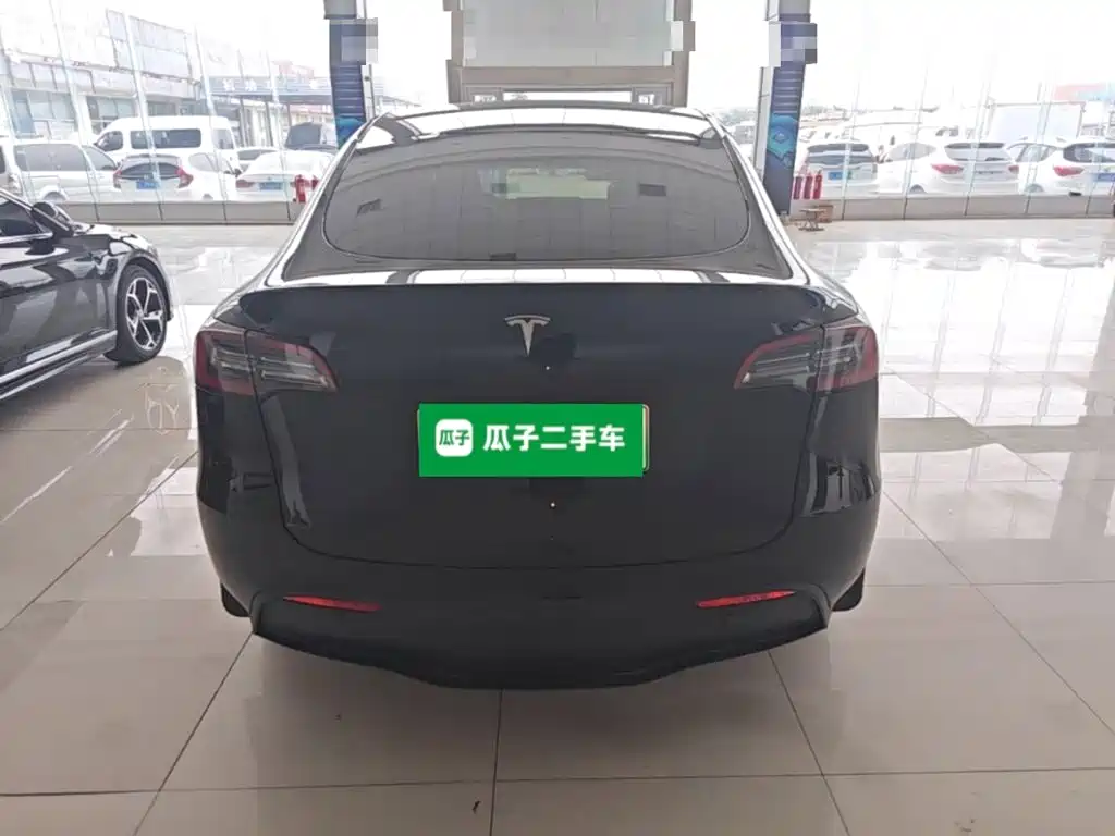 Tesla Model Y — миниатюра 6
