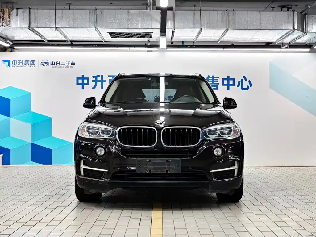 BMW X5 (Import) — миниатюра 2