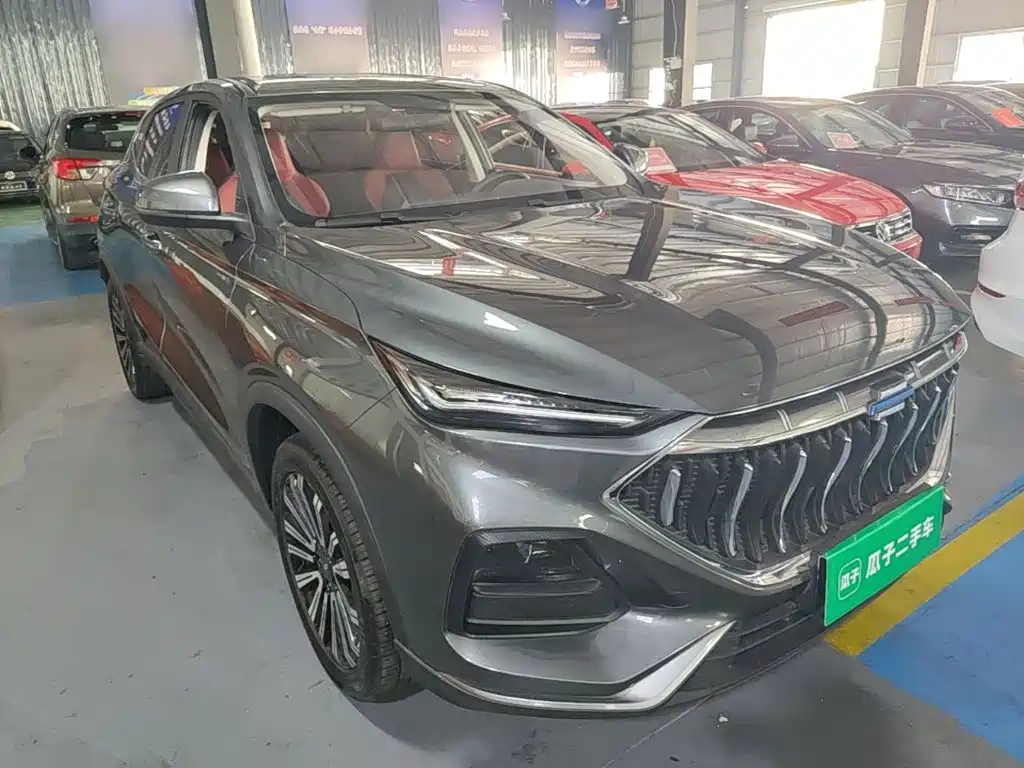 Oshan Oushang X5 — миниатюра 4