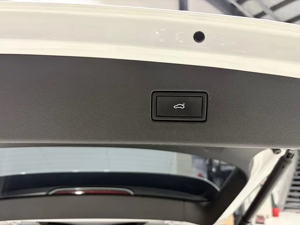 Volkswagen Tiguan L PHEV 430PHEV 插电混动旗舰版, фото 23