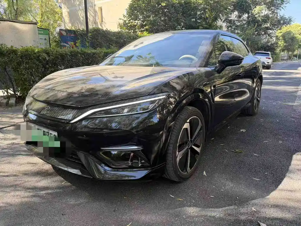 BYD L EV