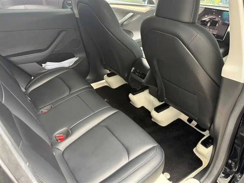 Tesla Model Y — миниатюра 11