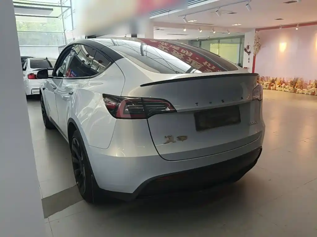 Tesla Model Y — миниатюра 5
