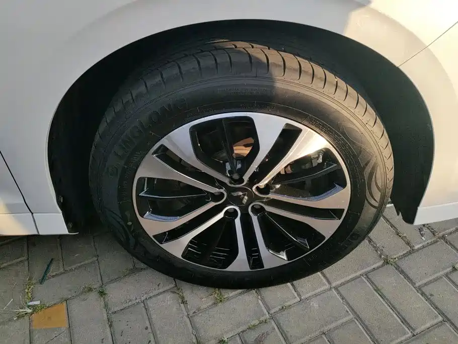 Wuling Victory — миниатюра 6