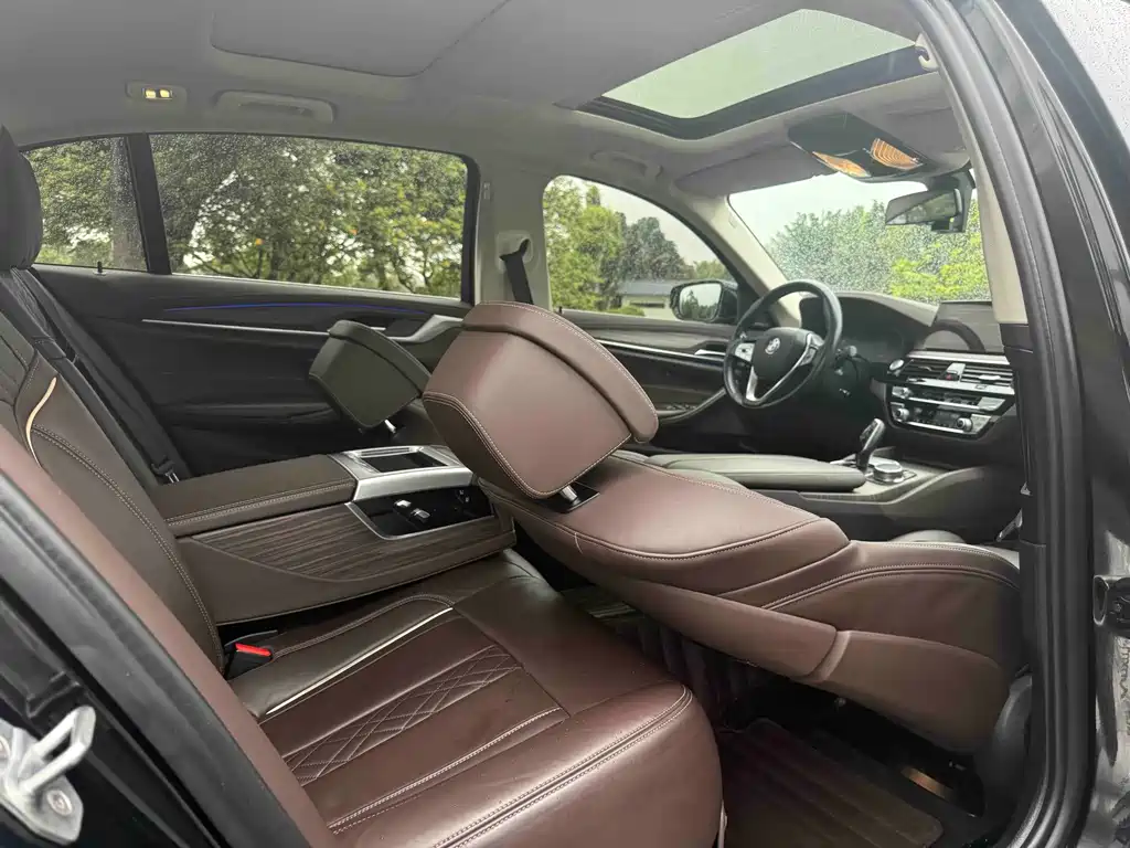 BMW 5 Series 5 2020 530Li Premium Luxury