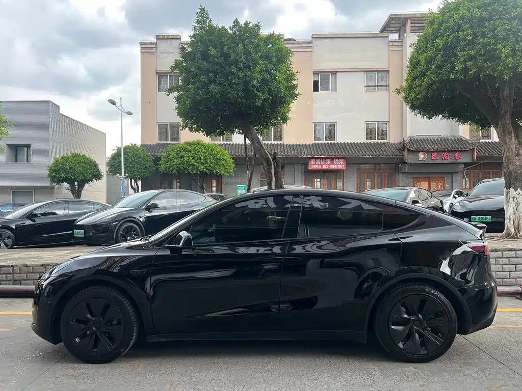 Tesla Model Y — миниатюра 4