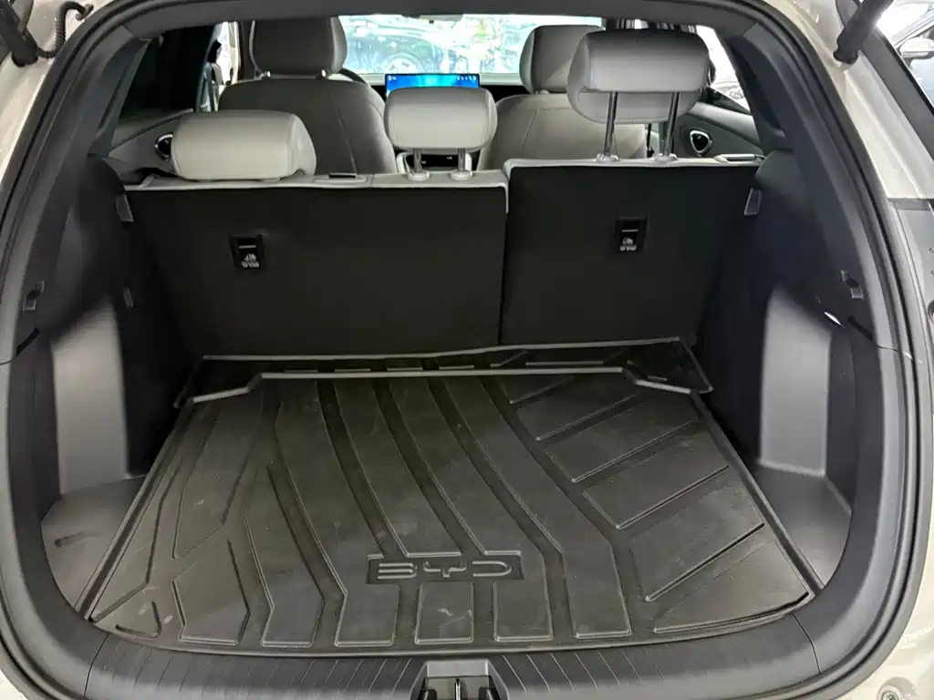 BYD Haisi 06 — миниатюра 11