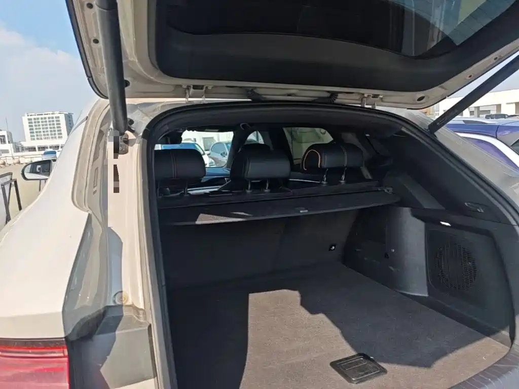 BYD PLUS New Energy — миниатюра 19