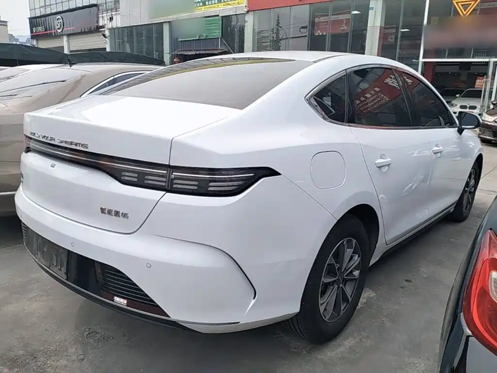 BYD Destroyer 05 2024 DM-i 55KM Luxury