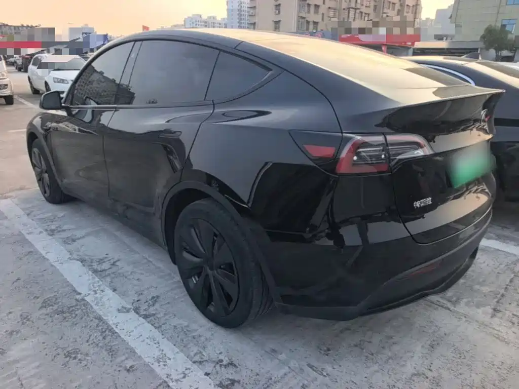 Tesla Model Y — миниатюра 5