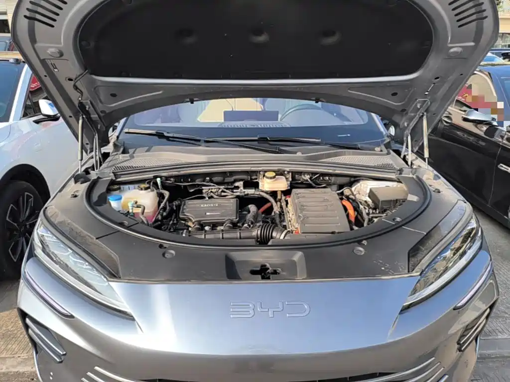 BYD PLUS New Energy — миниатюра 20